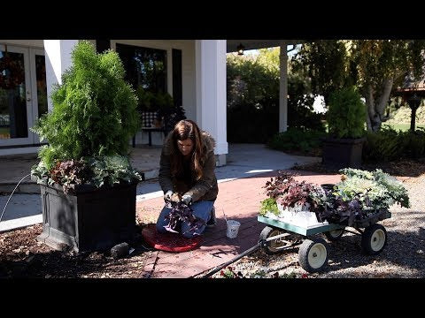 Container Refresh and Other Random Projects!