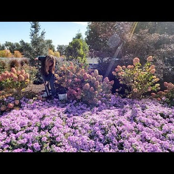 Is it Too Late in the Fall to Plant? Nope!!!
