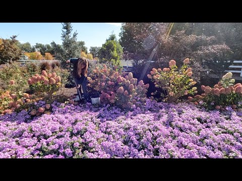 Is it Too Late in the Fall to Plant? Nope!!!