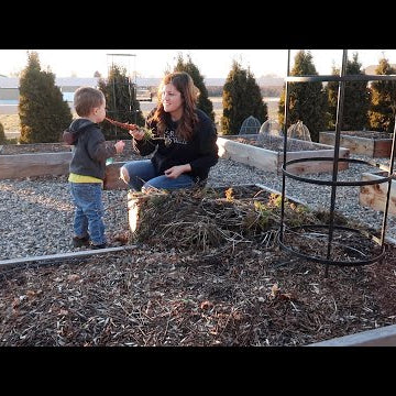 Potato Rolls, Seeds, Coppice Pruning, Harvesting More Carrots, and Even a Little Laundry...
