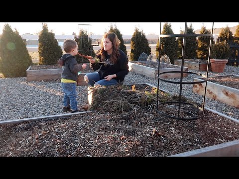 Potato Rolls, Seeds, Coppice Pruning, Harvesting More Carrots, and Even a Little Laundry...