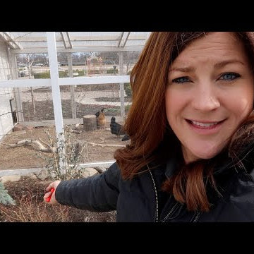 Trimming Butterfly Bushes & Roses + Transplanting Lavender!