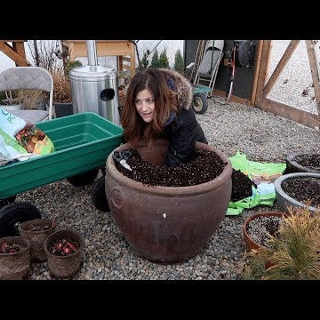 Flower Show & Garden Center Haul + Planting Rhubarb!