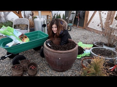 Flower Show & Garden Center Haul + Planting Rhubarb!