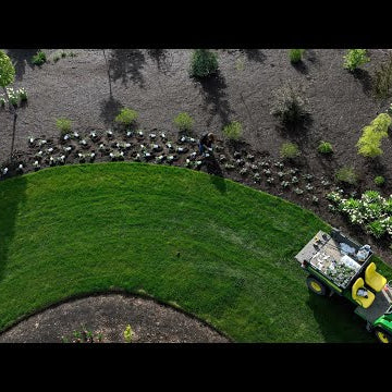 Planting a Huge Drift of Superbena + Urns on Our West Side!
