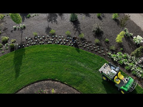 Planting a Huge Drift of Superbena + Urns on Our West Side!