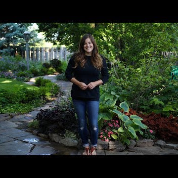 Tour of my Parent's Garden June 2018