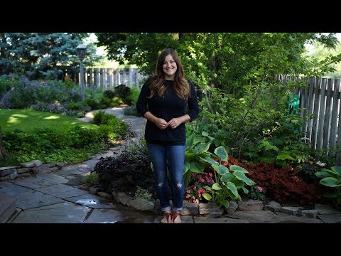 Tour of my Parent's Garden June 2018