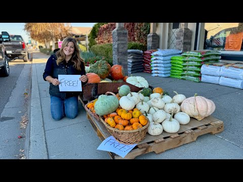 Giving Away Pumpkins, Planting a Redwood From Alaska & Evergreens for the Dumpster Urns!