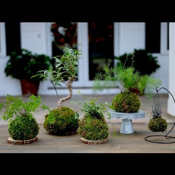 How to Make Kokedama (Full Version)