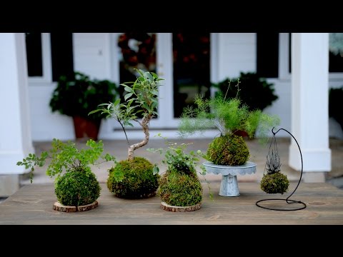 How to Make Kokedama (Full Version)
