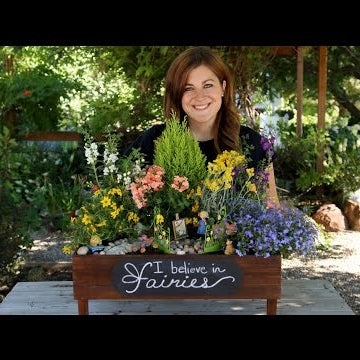 Mary Engelbreit Fairy Garden