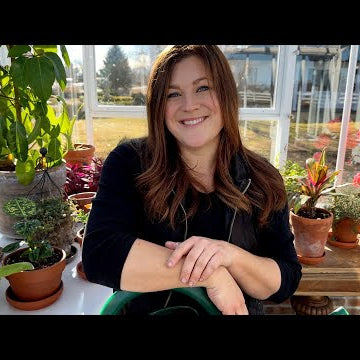 Huge Plant Haul Tour! SO MUCH COLOR!!!
