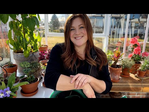 Huge Plant Haul Tour! SO MUCH COLOR!!!
