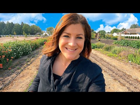 Finishing Up Our Onion & Potato Harvest and Prepping them for Storage!