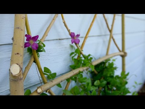 DIY Willow Branch Trellis