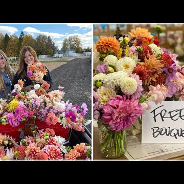 Last Big Vegetable & Flower Harvest!