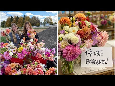Last Big Vegetable & Flower Harvest!