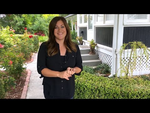 Garden Tour Part 3