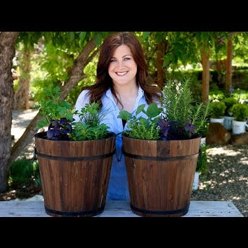 Planting Herbs