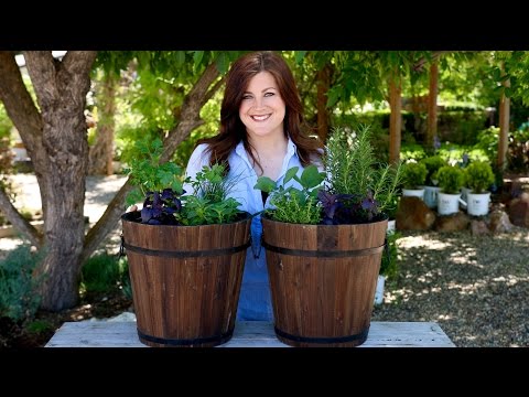 Planting Herbs