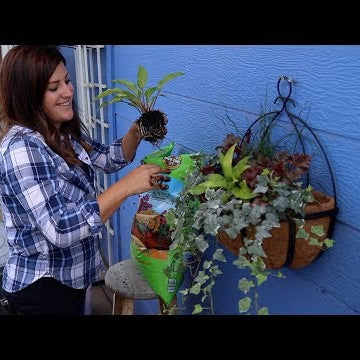 Shopping for Plants for My New Wall Planter!