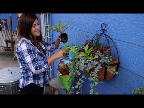 Shopping for Plants for My New Wall Planter!