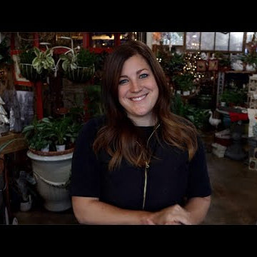 Tour of my Parent's Garden Center! Holiday Open House!