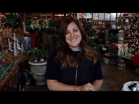Tour of my Parent's Garden Center! Holiday Open House!