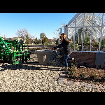 Filling Up a Bunch of Containers with Tulips (+ Tree Delivery)!