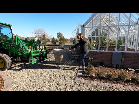 Filling Up a Bunch of Containers with Tulips (+ Tree Delivery)!