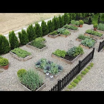 My Vegetable Garden Layout & Tour!