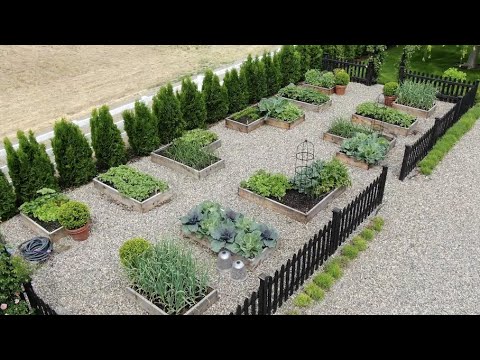 My Vegetable Garden Layout & Tour!