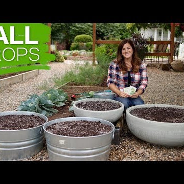 Growing Fall Crops in 10 Steps