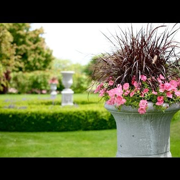 Planting My Backyard Urns