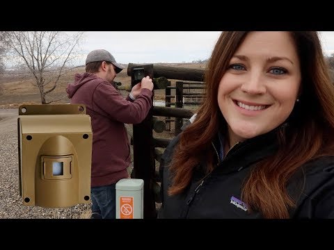 I Installed a Motion Alarm for My Parents!