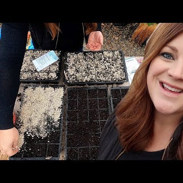 Cut Flower Garden Seed Starting Begins + How I Organize When to Start Seeds!
