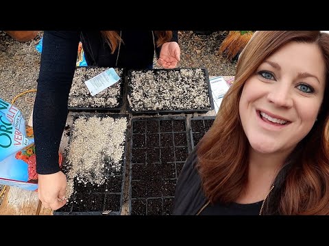 Cut Flower Garden Seed Starting Begins + How I Organize When to Start Seeds!
