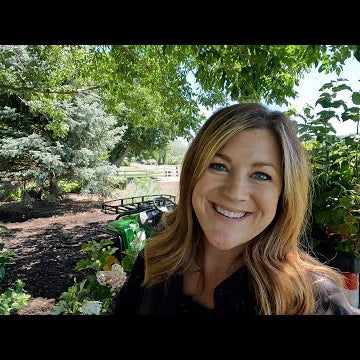 Planting Oakleaf Hydrangeas, Snowball Bushes & a Crabapple Tree!