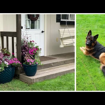 Planting a Trio of Containers & a Visit with Mollie!