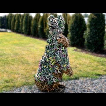 Succulent Bunny Topiary Update & Revamp!