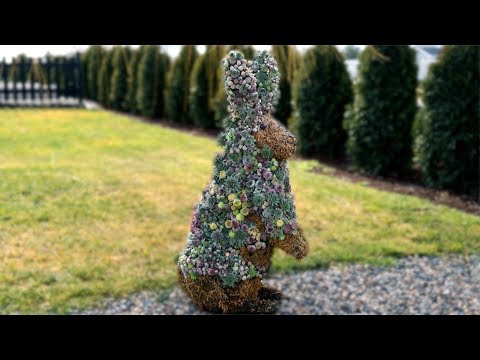 Succulent Bunny Topiary Update & Revamp!