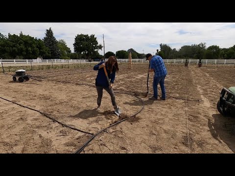 Installing Drip Tape & Planting Some Things I started From Seed!