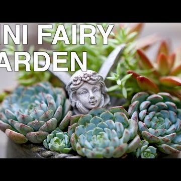 Mini Fairy Garden with Succulents