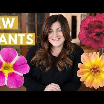 New Plants for 2018
