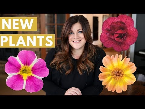 New Plants for 2018