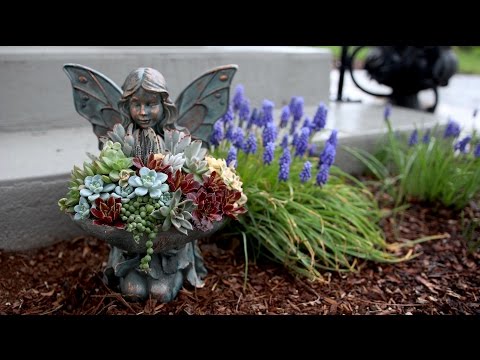 Succulent Inspiration Garden Answer