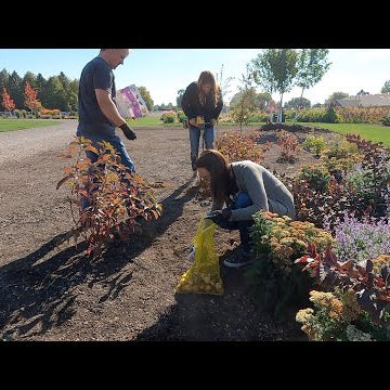 Planting 2,500 Bulbs with Friends!!!