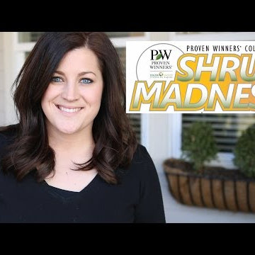 Play SHRUB MADNESS With Me!!!