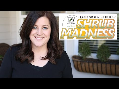 Play SHRUB MADNESS With Me!!!
